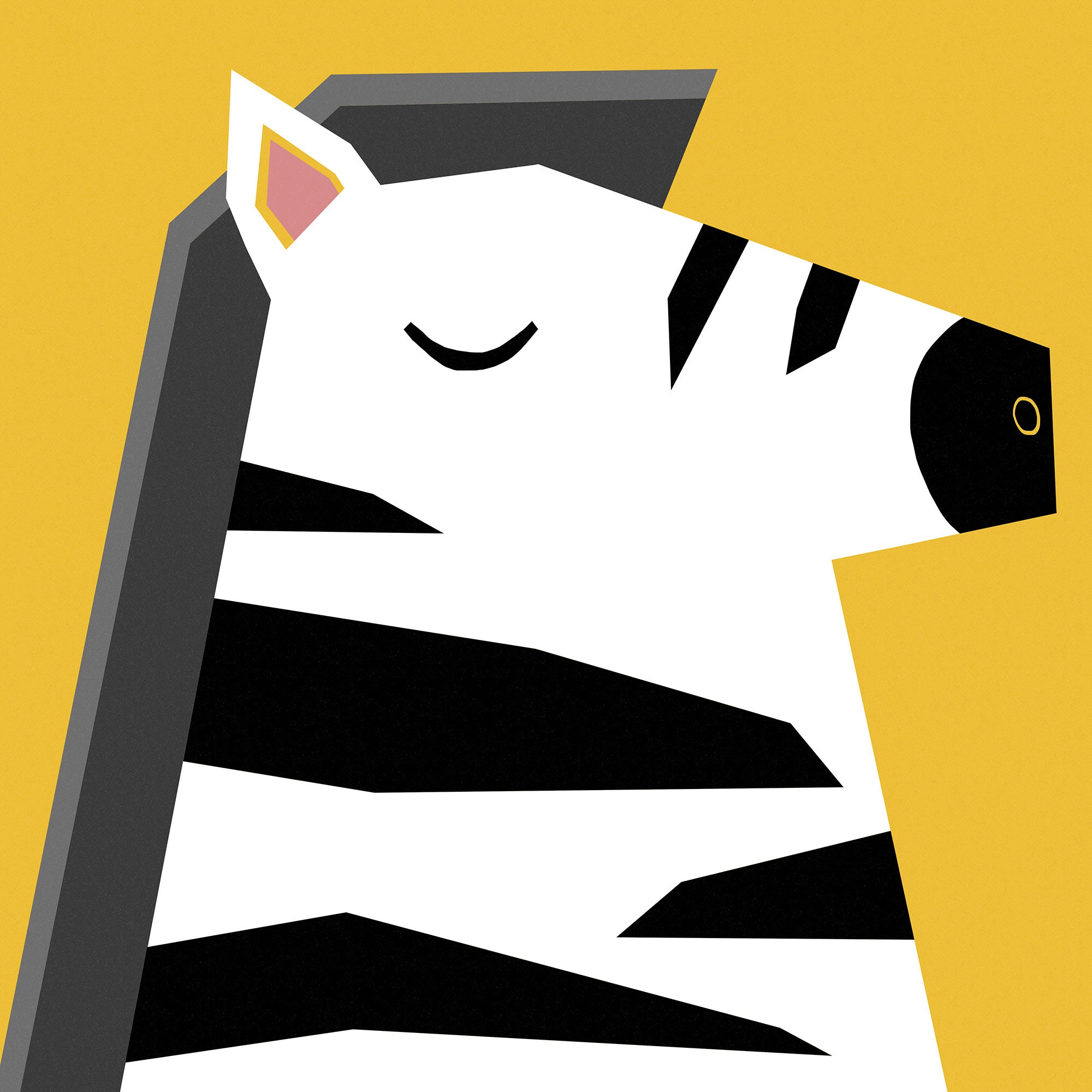 Zebra card